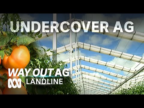 Farms of the Future Got You Covered – Indoor Agriculture Way Out Ag Ep5 ABC Australia