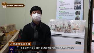 유튜브 썸네일