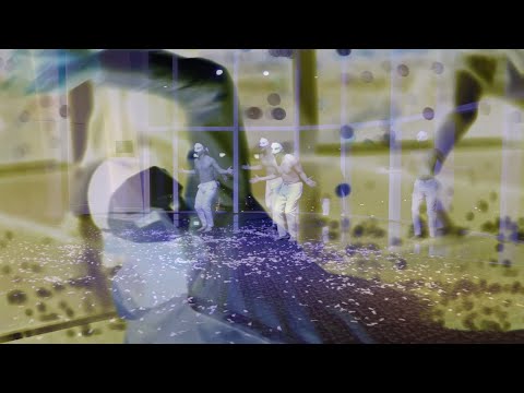 the Heima's Swan Lake