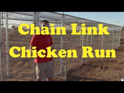 image-What kind of fence do I need for chicken Run?