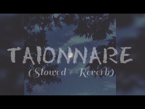 TAIONNARE [Slowed + Reverb] | Abhishek Tongbram | Manipuri lofi | lowkeymanipur