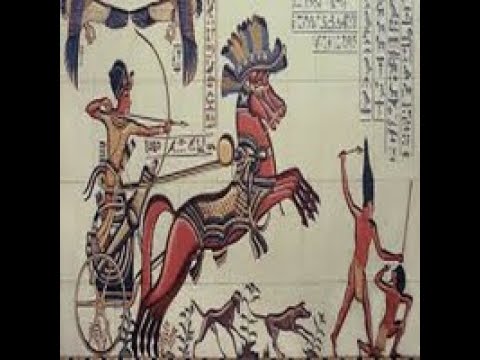 Video The king Hedging Forex