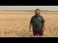DREC Ryan Buetow: Wheat Ergot