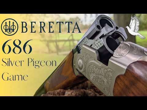 The Beretta 686 Silver Pigeon