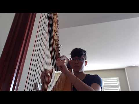 Nabeela Zoss - c418 - sweden (minecraft music harp cover)