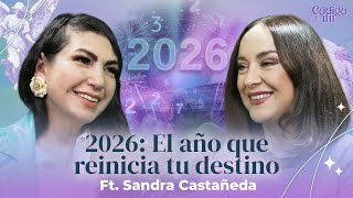 Video 7