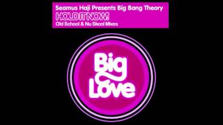 Seamus Haji Presents Big Bang Theory - Hold It Now! (Old School Mix)