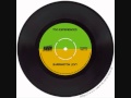 Barrington Levy - Too Experienced