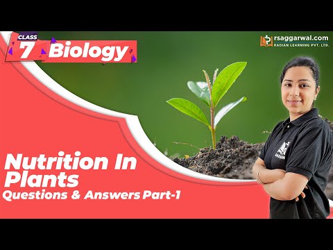 Nutrition in Plants Class 7 Questions and Answers...
