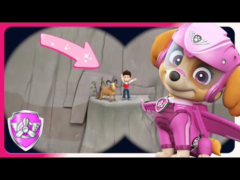 Skye and the Pups Save Ryder from his Failed Adventure | PAW Patrol - Skye | Cartoons for Kids