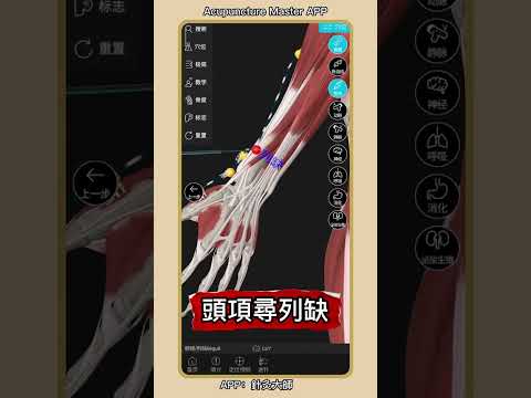 二十四總穴歌