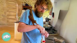 Man Finds A Baby Squirrel In The Forest And Gives Her A New Life | Cuddle Buddies