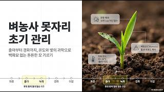 [농사정보] 벼_초기 못자리(파종, 출아, 녹화, 경화) 육묘관리
