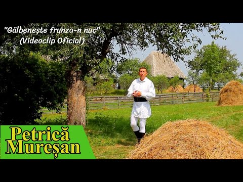 Petrică Muresan - ,,Galbeneste frunza-n nuc" [Videoclip HD]