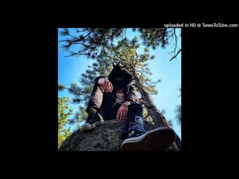 [FREE FOR PROFIT] (All Plats) Kill Dyll x Pranav.wav Type Beat "KILL ME NXW" (PROD. RAYZXR)