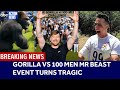 Mr Beast S 100 Men Vs A Gorilla Challenge Turns Tragic