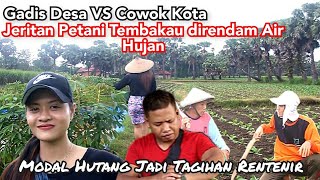 Download lagu ARTI KEHIDUPAN Eps2.//jeritan petani tembakau dilanda hujan(  ft sana sini video) mp3