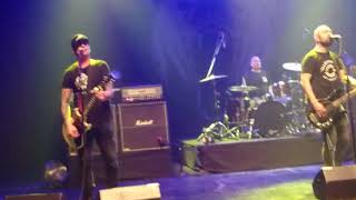 Millencolin en Chile 2017 - Fazil&#39;s Friend