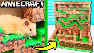 all monsters hamster maze all monsters hamster maze