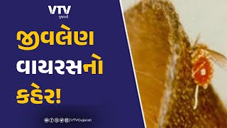 article-logo