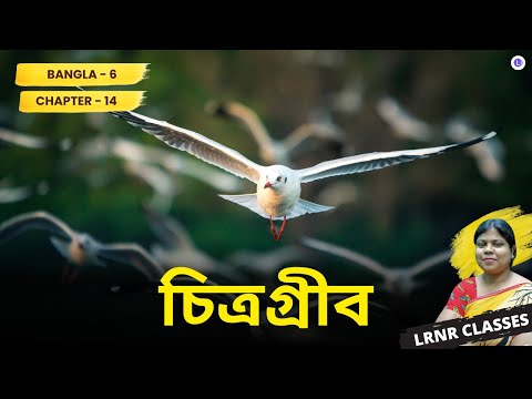 Chapter 14 Chitragrib by Dhangopal Mukhopadhyay | চিত্রগ্রীব - ধনগোপাল মুখোপাধ্যায়