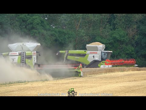 Claas - Fendt / Getreideernte - Grain Harvest    BT