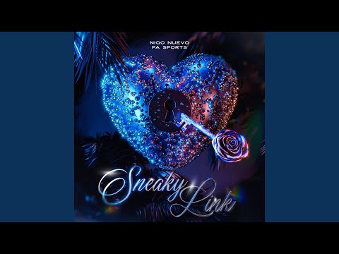 Sneaky Link