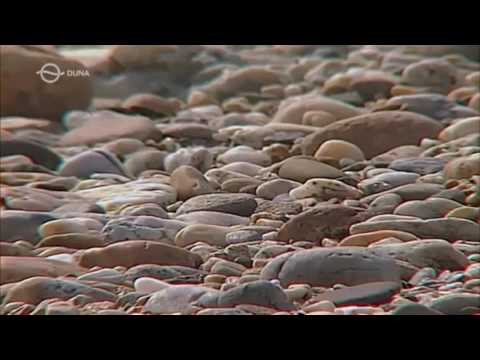 A sebes futású folyó - A Dráva élete 1080i