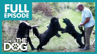 Thumbnail del capítulo