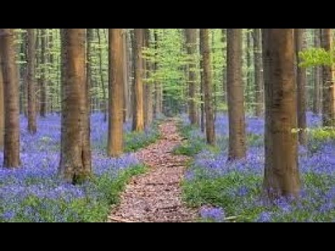 Jennie Rodrigues Com Jonas Benichio Lindos Hinos Cantados - CCB