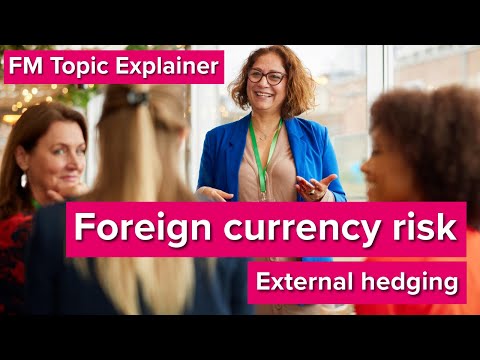 FM Topic Explainer: Foreign Currency Risk and External Hedging