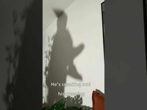 Thumbnail for Group3's Performance of Mr Shadow's Shoes (LANGTCHG 764 Creativity: Research and Practice) 2023 by mr shadow