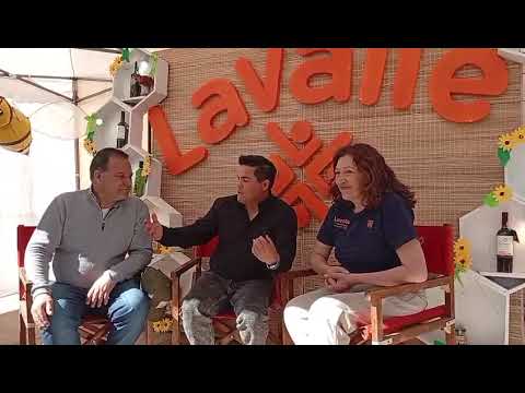 Analisis sobre la exposicion de Expo Apicola Lavalle en Mendoza Argentina