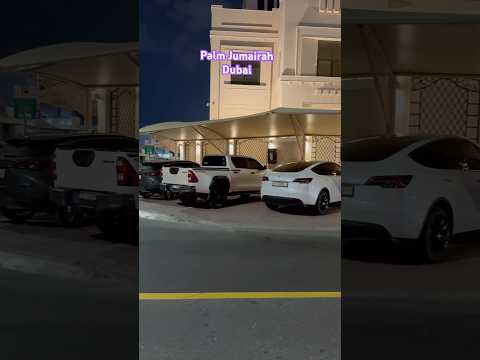 Dubai palm Jumairah #dubai #uae #dubailife #sheher #beach #carlover #jumairah #like #subscribe