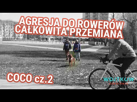 Psa można oduczyć pogoni za rowerem! 🚴‍♂️🐕 Mój Pies Się Rzuca - Coco odc. 2