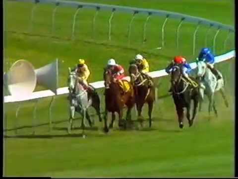 Emancipation - All-Aged Stakes (1600m) 1984