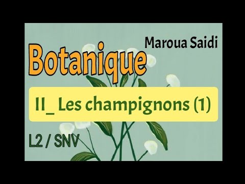 , title : 'Botanique/chapitre 2: les champignons/ partie1'