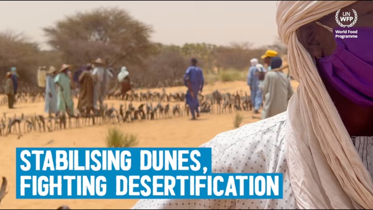 Fighting Desertification through Dune Fixation - Zinder, Niger