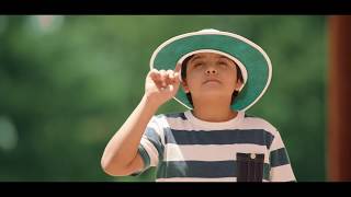 V-Guard Inverter TVC