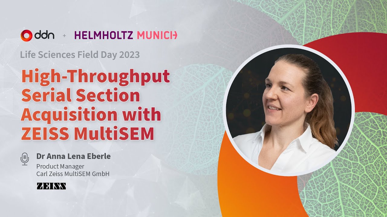 YouTube video preview