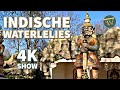 DE INDISCHE WATERLELIES Efteling | Full Show
