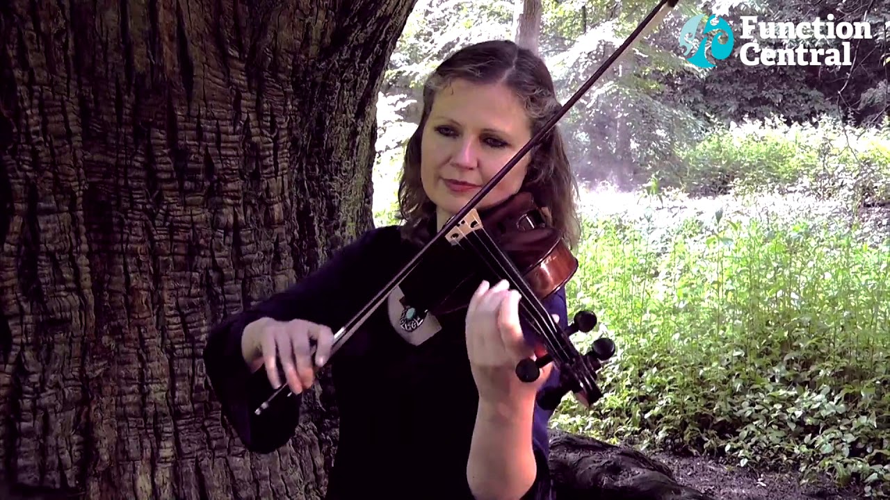 Sunshine Strings – String Quartet | London | Hire from Function Central