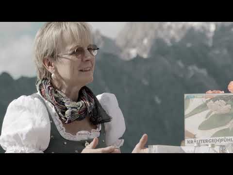 Kräuterwandern am Hochkönig