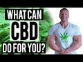 What is CBD, or Cannabidiol? | Tiger Fitness