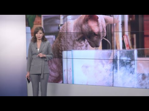 Восточный экспресс 05.12.2019
