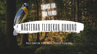 Download lagu MASTERAN AMPUH BURUNG 'TLEDEKAN GUNUNG' NYULING FULL ISIAN, DURASI PANJANG❗ mp3