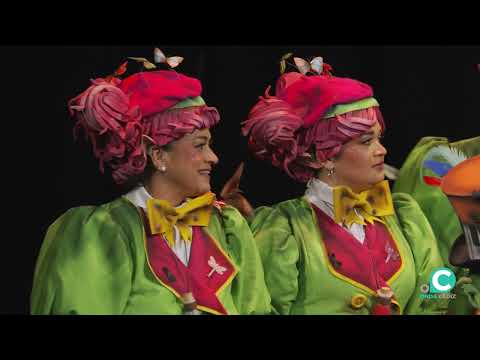 Coro, Dame veneno - Preliminares