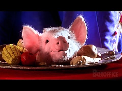 A Magic Act with a Little Pig | Babe: Pig in the City | CLIP