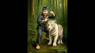 Download lagu Harimau Putih Prabu Siliwangi. Prabu Siliwangi raja Pajajaran yg melegenda menjadi harimau putih mp3