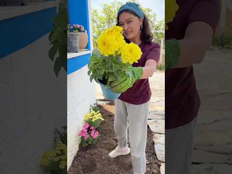 Çiçek ekiyoruuuuzzz🌺 Hadi bakalım renklensin bahçeler💐🌼